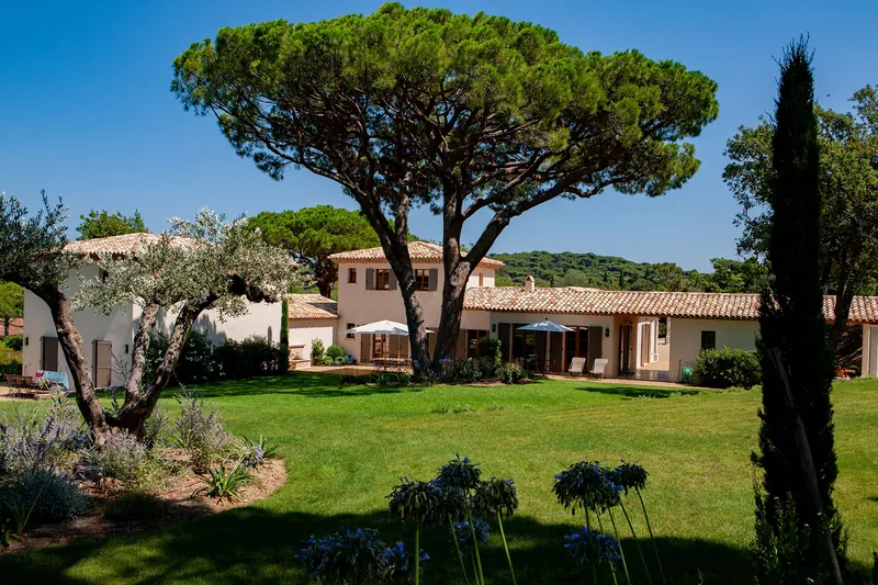 La bastide et ses pins parasols