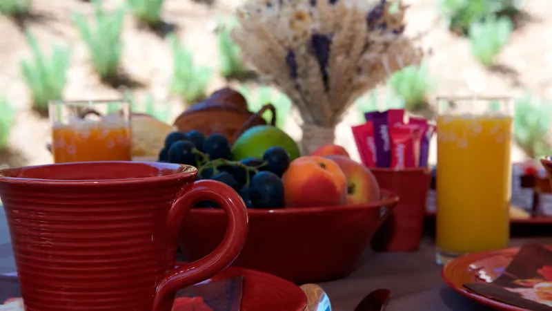 Petit-déjeuner servi sur la terrasse